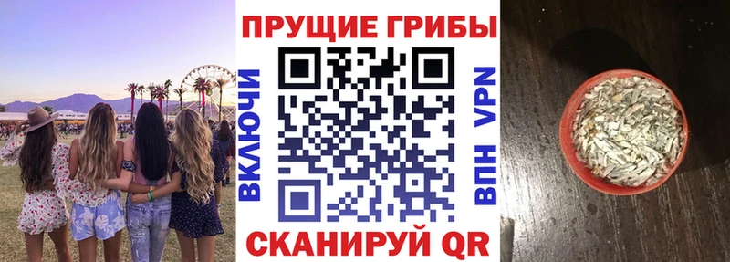 наркотики  omg вход  Галлюциногенные грибы GOLDEN TEACHER  Киров 